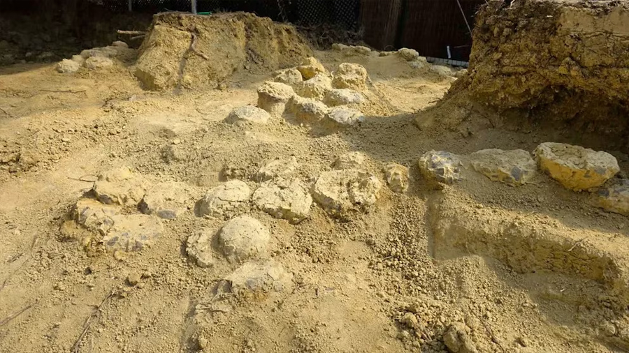 Encuentran cientos de huevos de dinosaurios que llevaban enterrados 70 millones de años en un yacimiento del sur de Francia