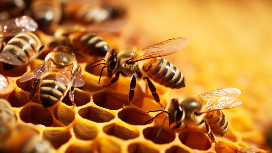 La ciencia investiga el veneno de abeja como alternativa frente al cáncer de mama