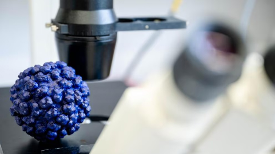 Investigadores descubren un fármaco que podría combatir la hepatitis E