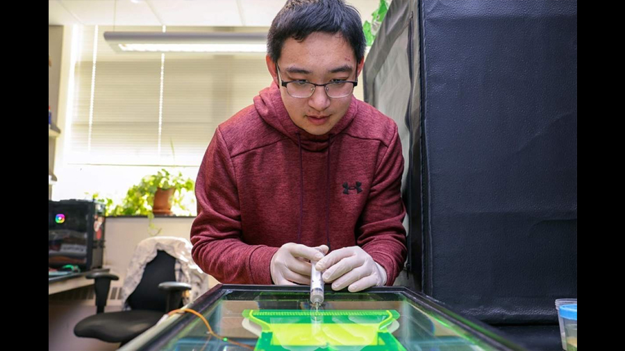 Investigadores de Cornell crean panel flexible basado en branquias de peces que hace más eficiente el intercambio de calor en refrigeración y dispositivos médicos