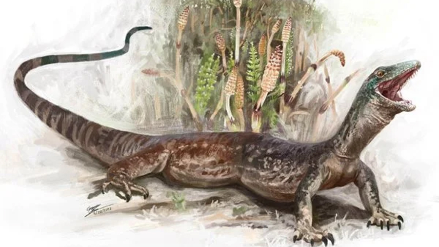Descubren fósil jurásico que desafía la frontera entre serpientes y lagartos