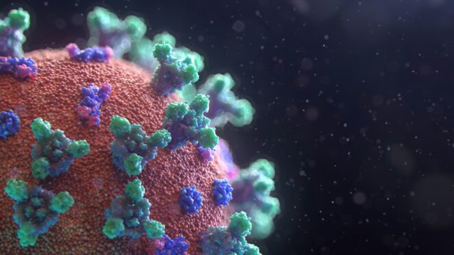 Científicos descubren nuevo virus en mariscos que podría causar ceguera en humanos