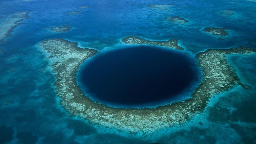 Bioluminiscencia, presión y monstruos abisales: los secretos de la Fosa de las Marianas