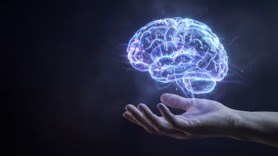 Investigadores de Cambridge crean un chip inspirado en el cerebro que puede reducir el 70% de la potencia de la IA