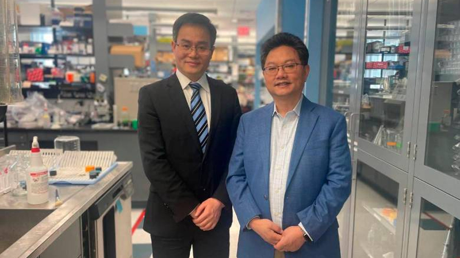 Científicos crean la primera terapia que devolvió la audición a pacientes con un raro tipo de sordera