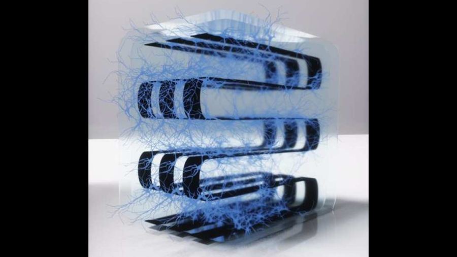 Construyen una computadora biológica