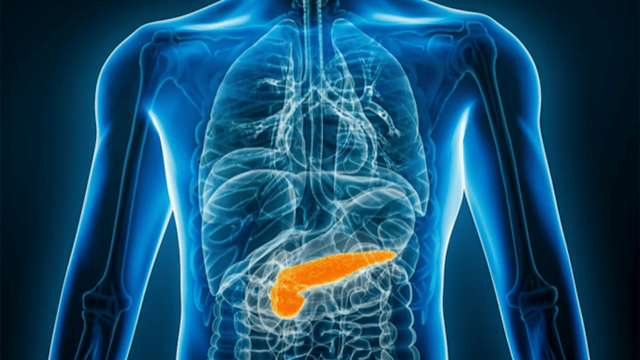 Descubren una molécula que blinda el páncreas frente a la toxicidad de la diabetes