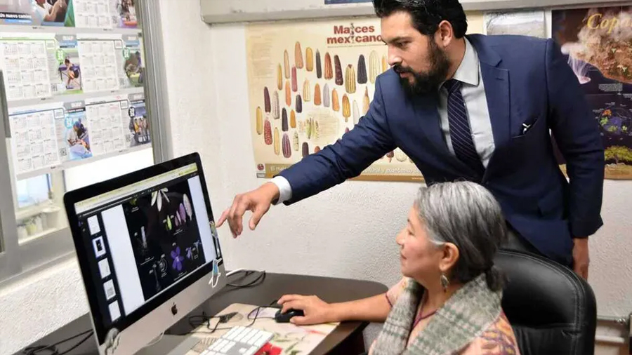 Descubren planta carnívora única en Hidalgo