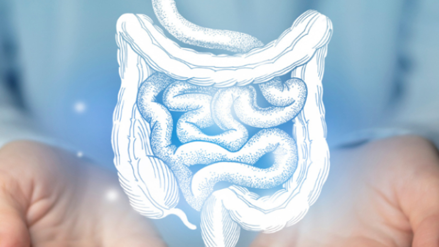 Descubren en Clínica Mayo que la vitamina D reduce la inflamación intestinal crónica