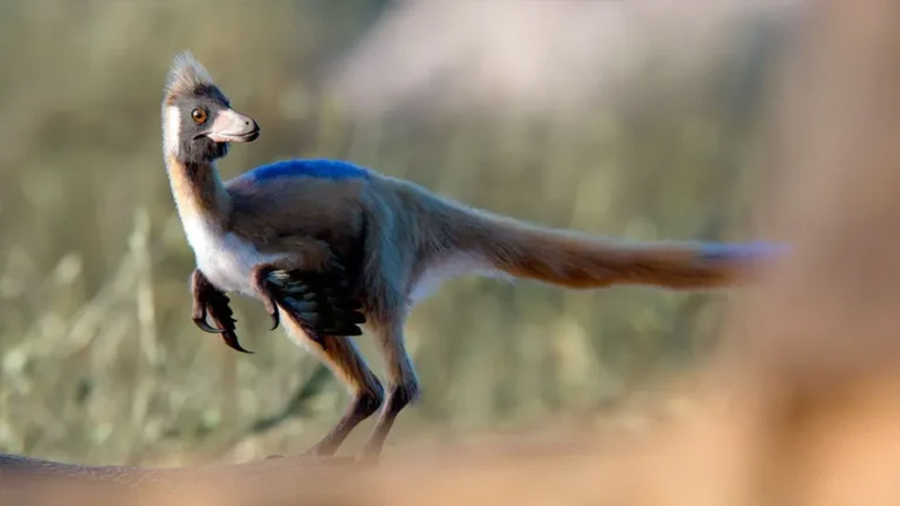 Argentina descubre dinosaurio de 95 millones años que cambia la historia evolutiva de su especie
