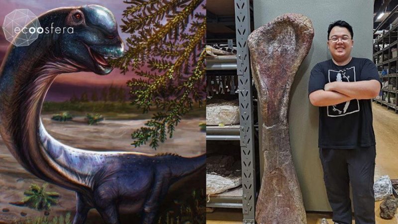 Descubren en Tailandia ‘el último titán’, el dinosaurio más grande del sudeste asiático