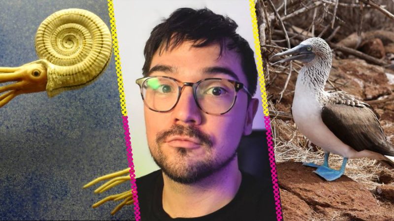 ‘Ciencia rara en México’: El libro de José Gotés que mezcla divulgación, humor y rarezas mexicanas