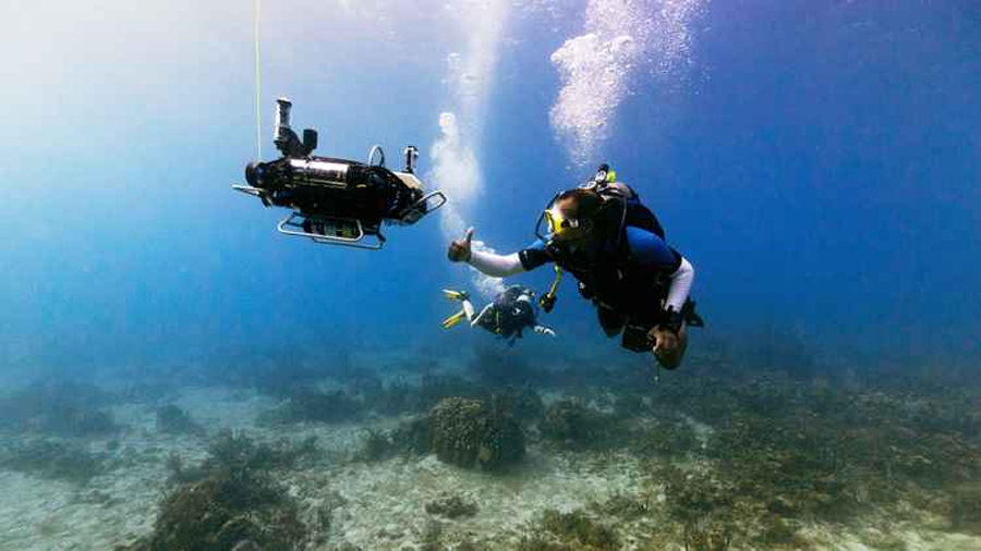 Un robot submarino autónomo descubre puntos críticos ocultos en los arrecifes de coral
