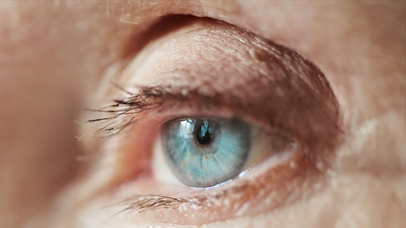Una fotografía del ojo podría anticipar el riesgo de osteoporosis, según un estudio