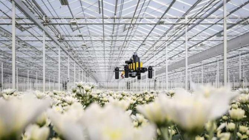 Drones inspirados en las abejas