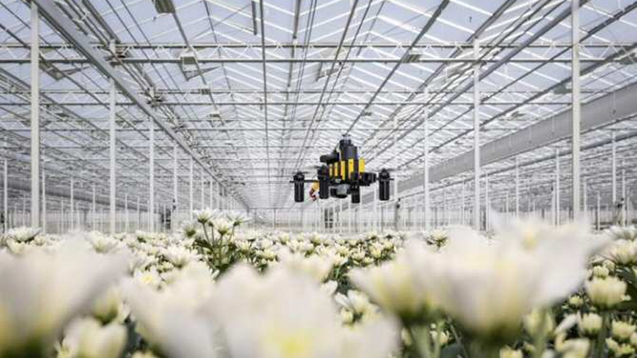 Drones inspirados en las abejas