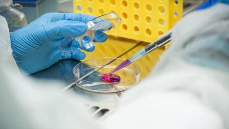 Células madre mesenquimales para reducir la inflamación en gente con ‘piel de mariposa’