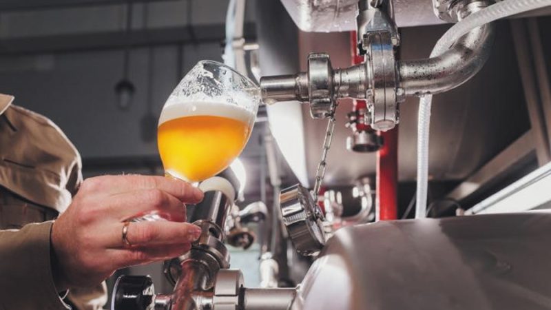 Los investigadores coinciden: los residuos del lúpulo al producir cerveza son ingredientes útiles para crear cremas solares