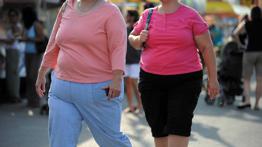 Investigadores descubren que la melatonina activa un mecanismo protector contra la obesidad y diabetes tipo 2