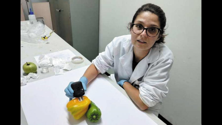 Sensores biodegradables acoplables a plantas para detección rápida de pesticidas