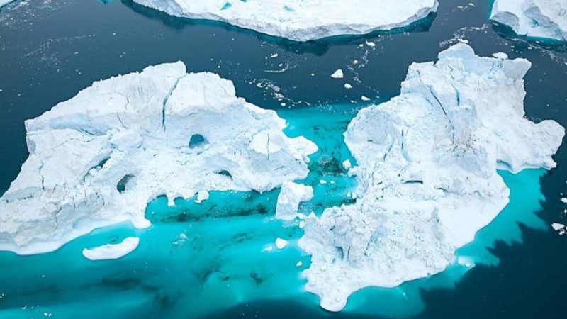 El océano profundo guardó este secreto durante siglos: ahora encontraron una forma de vida que no encaja con ninguna conocida