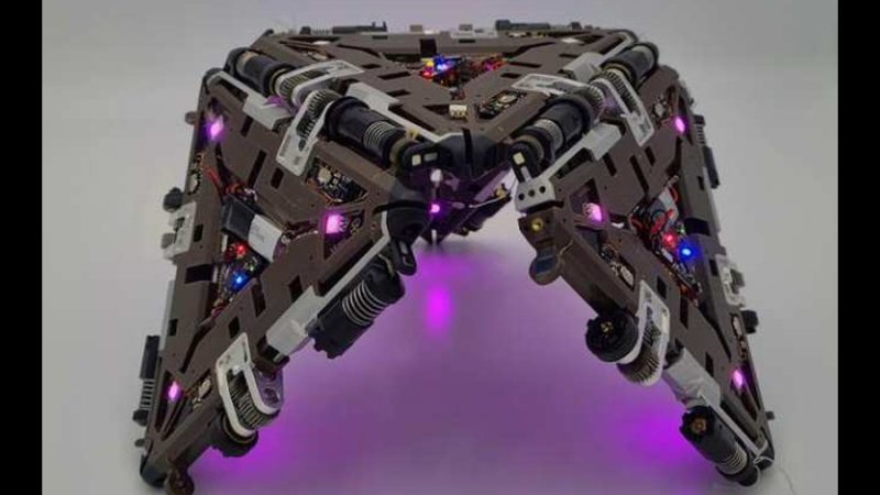 Robot con algunas de las ventajas de un ser vivo pluricelular