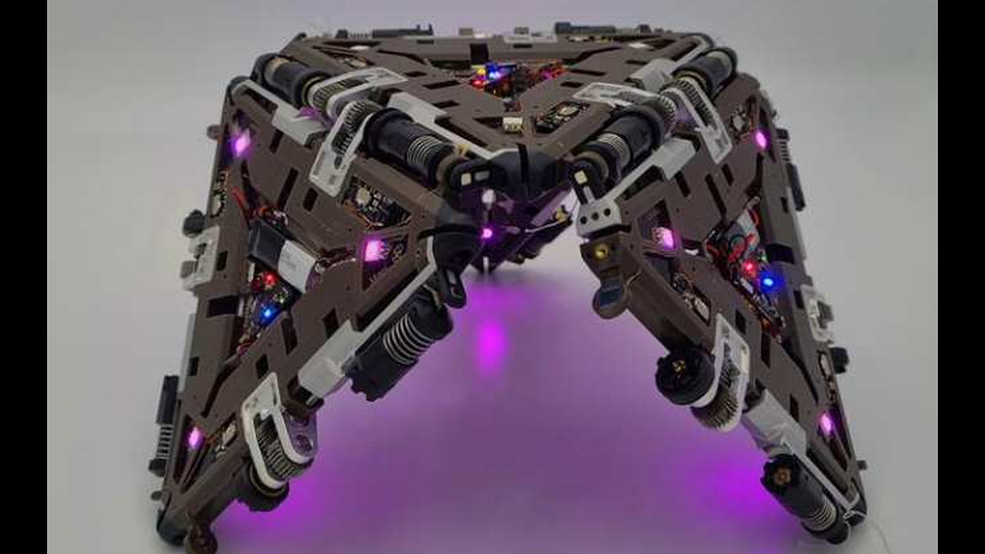 Robot con algunas de las ventajas de un ser vivo pluricelular