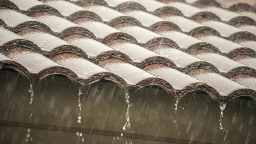Ciencia mexicana: crean recubrimiento que limpia fachadas con la lluvia