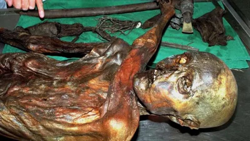 Descubren qué bacterias habitaban el intestino de un hombre congelado hace 5.300 años y no son como las tuyas
