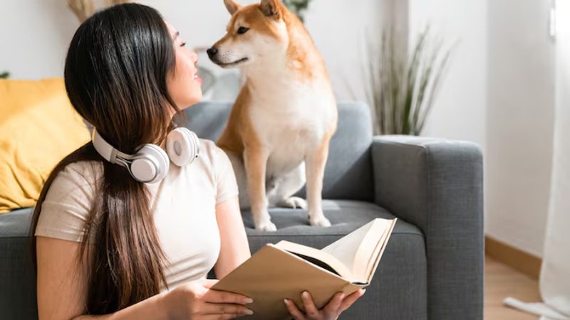 Científicos descubren qué parte de la cara observan primero los perros para reconocer a una persona