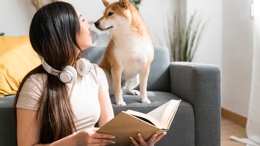 Científicos descubren qué parte de la cara observan primero los perros para reconocer a una persona