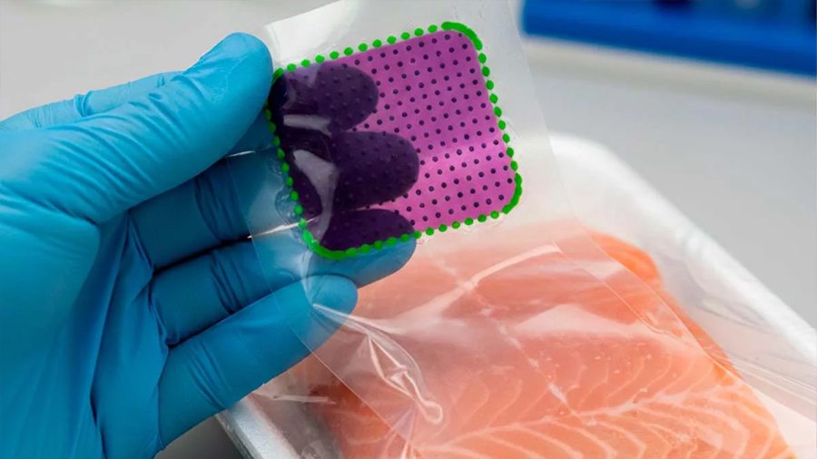 Investigadores peruanos crean empaques que cambian de color para detectar alimentos en descomposición