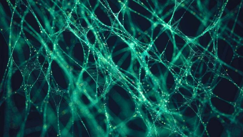 ¿Se puede frenar el alzhéimer? Investigadores descubren una molécula que ‘reprograma’ las defensas del cerebro