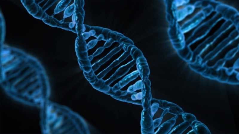 Los expertos en genética no dan crédito: crean el primer sistema CRISP ADN del mundo que usa estas poderosas enzimas para el diagnóstico