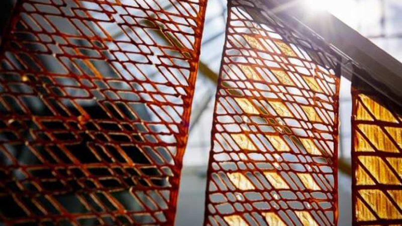 Material arquitectónico con levadura producido mediante impresión 3D