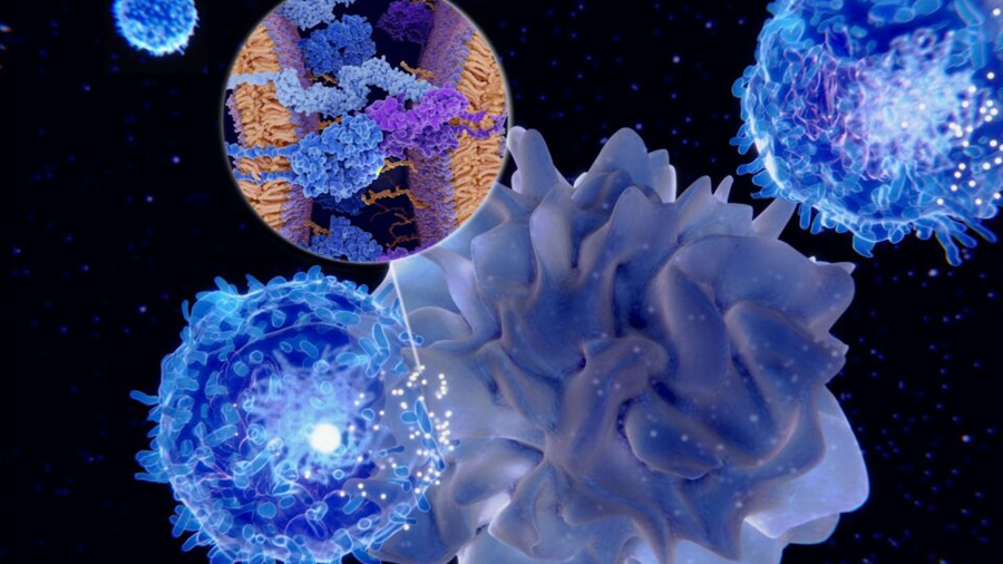 Nuevas evidencias sugieren que virus gigantes también habrían influido en la aparición de las primeras células complejas