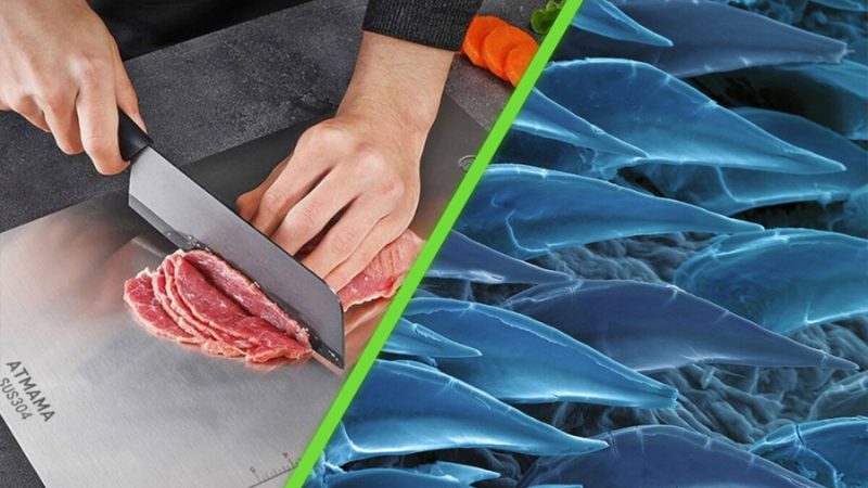 Científicos crearon superficies para cocina anti microbios con un método inesperado: imitaron la piel de los tiburones