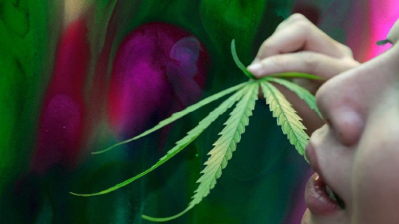 ¿Puede el cannabis inducir un estado psicodélico? Descubre lo que descubrieron los investigadores