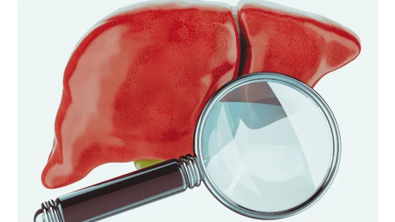 Científicos descubren ‘sensor’ clave contra la diabetes y obesidad