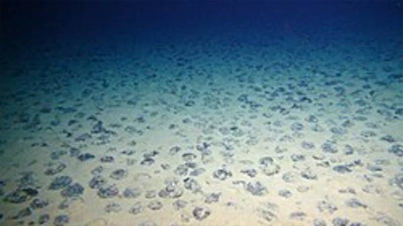 Científicos encontraron este gran tesoro lleno de minerales a 4 kilómetros bajo el mar: las compañías mineras compiten por extraerlos