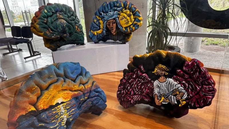 Con intervención artística de cerebros 3D en tamaño real difunden labor científica de UNAM-Juriquilla