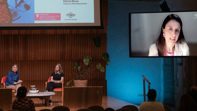 La crisis ambiental del planeta no puede resolverse desde la negación del multilateralismo: Norma Munguía