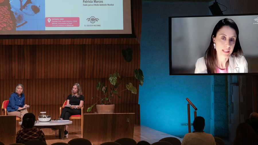 La crisis ambiental del planeta no puede resolverse desde la negación del multilateralismo: Norma Munguía
