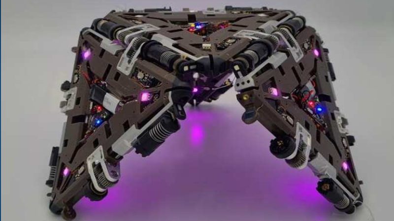 Robot con algunas de las ventajas de un ser vivo pluricelular