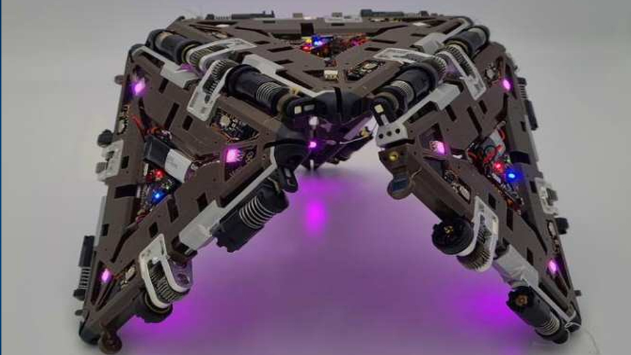 Robot con algunas de las ventajas de un ser vivo pluricelular