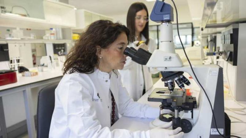 Nueva vía terapéutica para combatir la enfermedad hepática poliquística