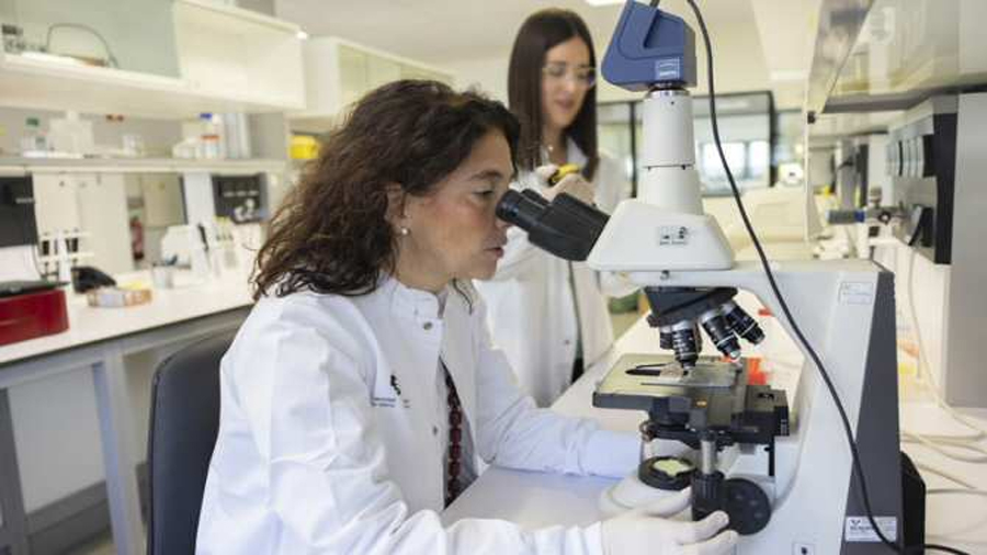 Nueva vía terapéutica para combatir la enfermedad hepática poliquística
