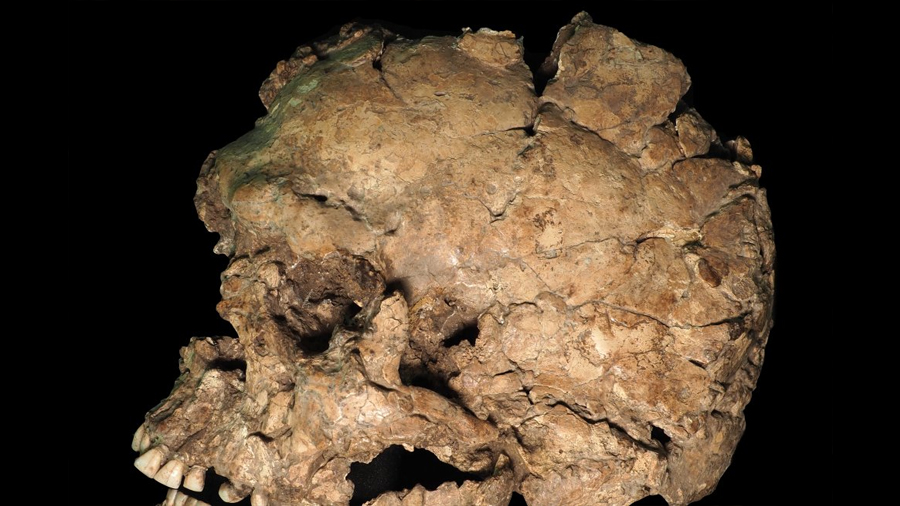 Investigadores encuentran pistas sobre la vida de los primeros Homo sapiens