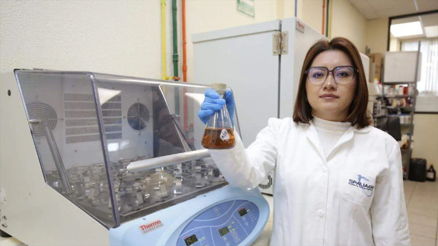 UAEH crea bebida de cebada para prevenir cáncer de colon