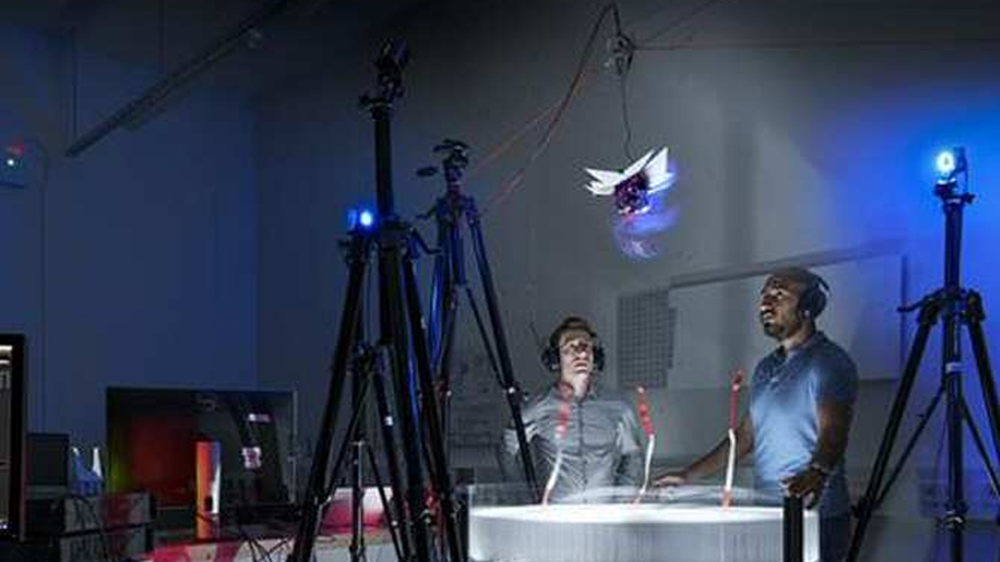 Drones capaces de volar con la eficiencia de las aves